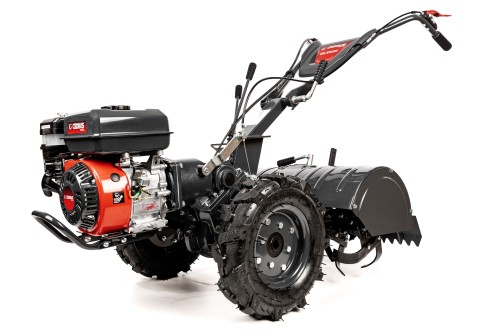 CEDRUSGLX650_01.jpg