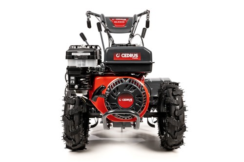 CEDRUSGLX650_02.jpg
