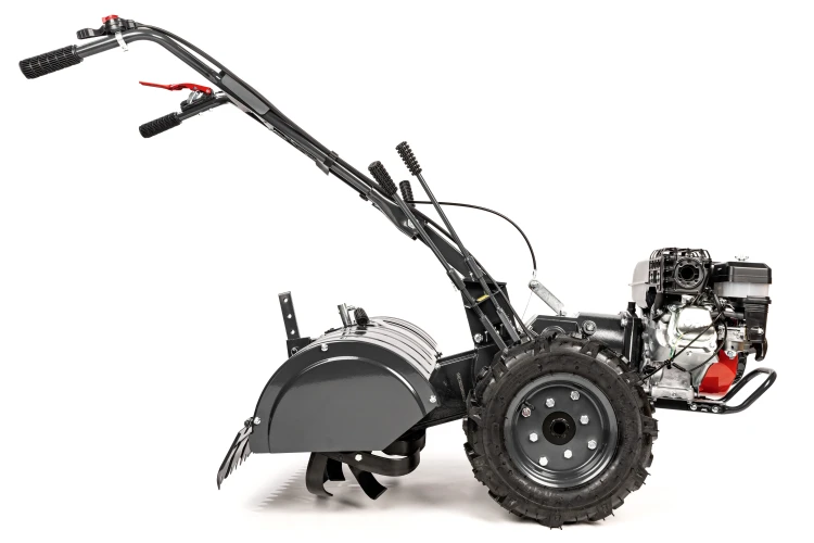 CEDRUSGLX650_03.jpg
