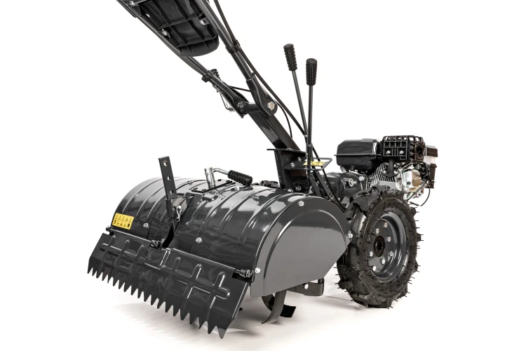 CEDRUSGLX650_04.jpg