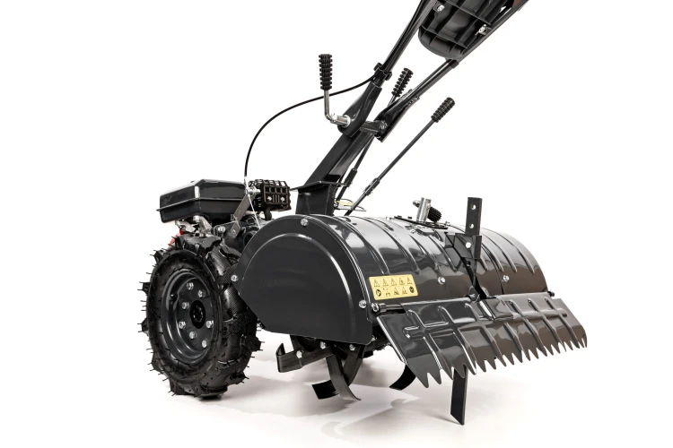 CEDRUSGLX650_06.jpg