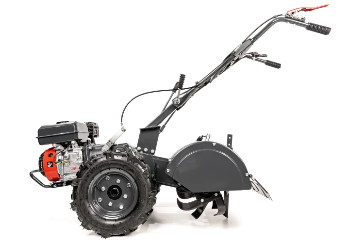 CEDRUSGLX650_07.jpg