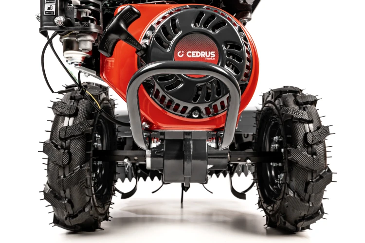 CEDRUSGLX650_10.jpg