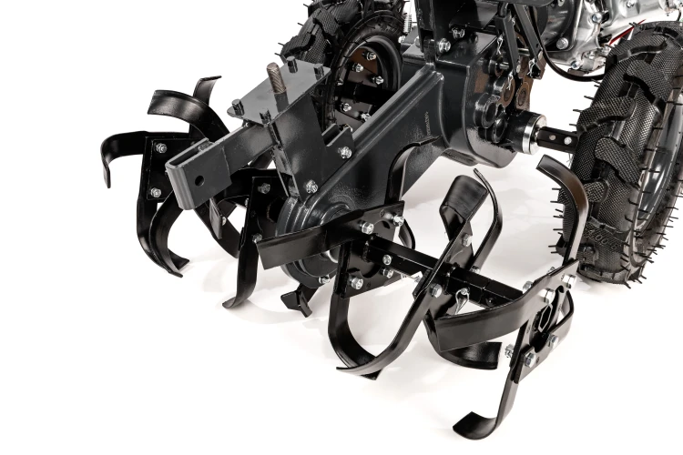 CEDRUSGLX650_12.jpg