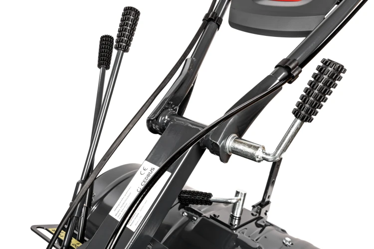 CEDRUSGLX650_17.jpg